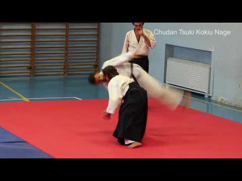 Bushi No Keiko Aikido Embukai
