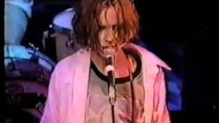 Beck w/that dog. &quot;Totally Confused&quot; (live)