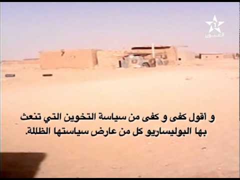 مخيمات تيندوف .. نداءات شباب التغيير