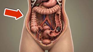 A vastagbélrák leggyakoribb tünetei, amiket MINDENKI figyelmen kívül hagy 💥🤯