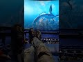 Avatar IMAX Imax Avatar Theatre Cgi Vfx Avatar2
