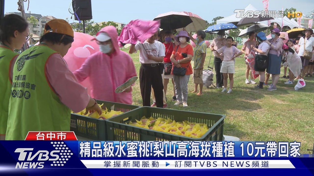 精品級水蜜桃！梨山高海拔種植　10元帶回家