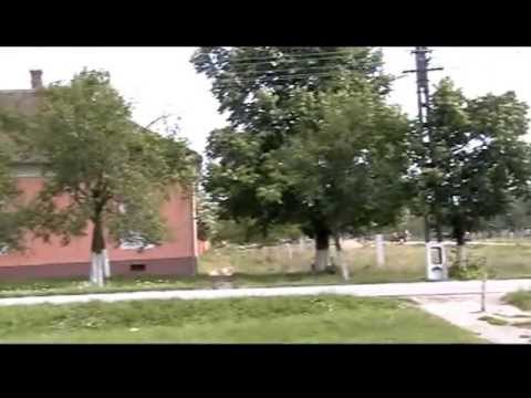 adriana alios 12.VOB