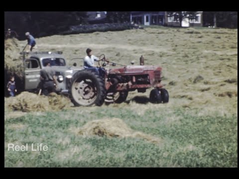 1945, Farm life part 1, the historic Mainstone Farm, Wayland, Massachusetts