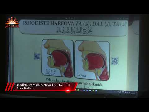 ILUSTRIRANI TEDŽVID 16. DIO-Poređenje krupnog i tankog RA, ishodišta harfova TA, DAL, TA