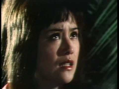 Snake, The Tiger, The Crane, The 1975