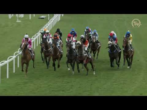 20220410_07_Cena starostu MČ Petržalka (Cena trojročných koní)