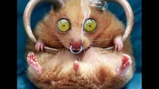 Running in your veins - Renegade five