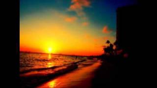 Seashell - Skylab.wmv