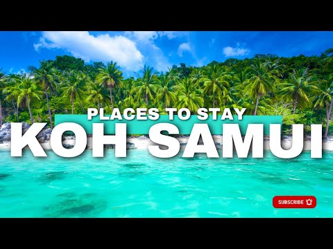 🌴 Where To Stay In Koh Samui [Best Places To Stay In Koh Samui] 🏖️