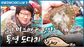 도다리 알고 먹자!! 입질의추억 김지민씨와 도다리 여행 #입질의추억 #김지만 #도다리 #통영도다리 #자연산도…