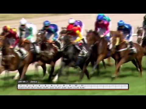 2017.06.17 Jydsk Galopderby (DEN) - Ginmann