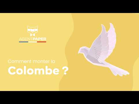 Colombe - vidéo de présentation