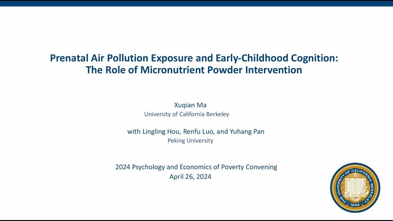 Prenatal Air Pollution Exposure and Early-Childhood Cognition | PEP2024