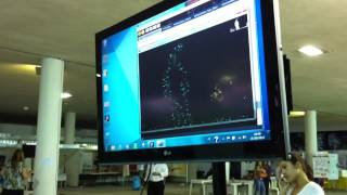 kokedamaDataVisualization