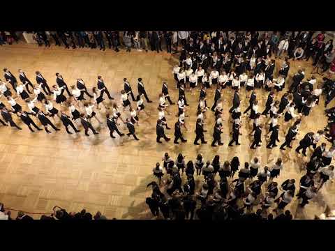 Wiener Opernball 2019, Generalprobe, Einzug der Debütanten IV