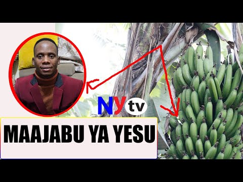 #ARUSHA#ONA MAAJABU YA YESU ALIYOFANYA KUPITIA MKUNGU WA NDIZI