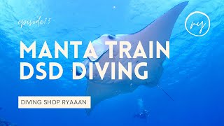 DIVING SHOP RYAAAN