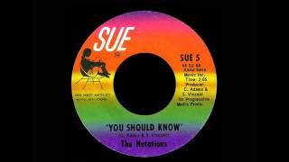 The Notations - You Should Know