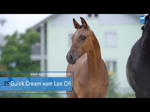 25 Qaside MD x Bretton Woods