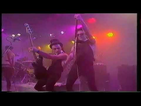 King Kurt -  (4) The Bowland Fen Decoy