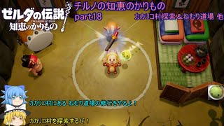 【ゼルダの伝説 知恵のかりもの】 チルノの知恵のかりもの part18 カカリコ村探索＆ねむり道場 他【ゆっくり実況】
