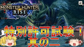 【MHR】ぼっちハンターがいくモンハンライズ！【ゆっくり実況】part25