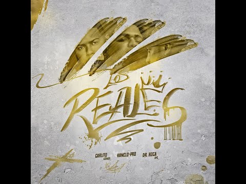 Dr. Roca ❌ Kanelo Pro, Carlito Codigo -LOS REALES  (Vizualizer)