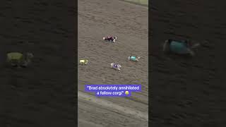 Brad was staring him down before the word go 😭 (via Canterbury Park Shakopee, MN)