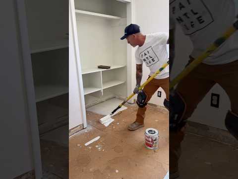 Getting rid of nasty pet odor urine stains and smells. #petodors #bin #odorremover #zinsser #pestain