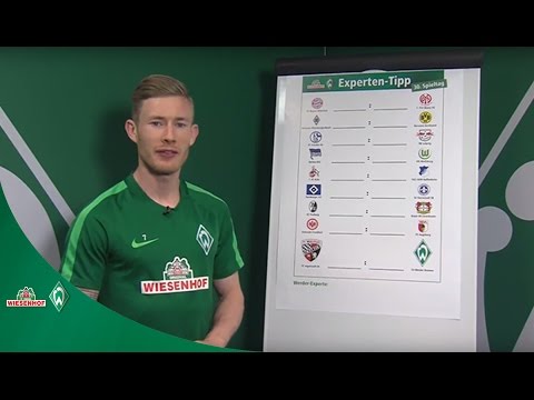 WIESENHOF: Werder Experten-Tipp 30. Spieltag 16/17