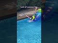 Summertime fun