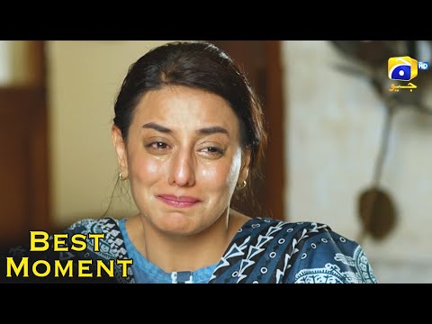 Qalandar Ep 55 | 𝐁𝐞𝐬𝐭 𝗠𝗼𝗺𝗲𝗻𝘁 𝟎𝟭 | Muneeb Butt | Komal Meer | Ali Abbas | Hiba Aziz | HAR PAL GEO