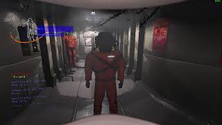 Lethal Company with friends