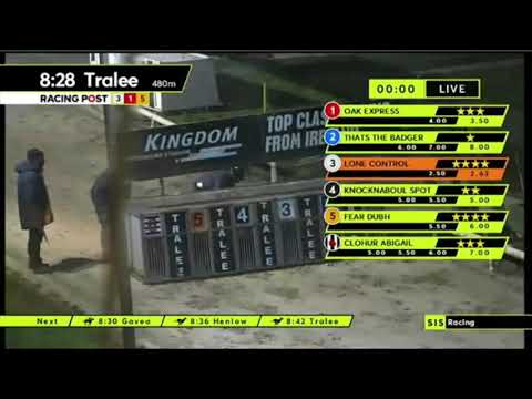 Carreras de Galgos - Tralee 2021