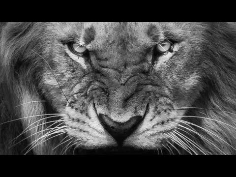 MC-Global - Merkt euch diesen Namen [Hater DISS - Beat by Abaz]