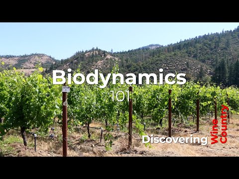 Biodynamics in Wine Intro 101