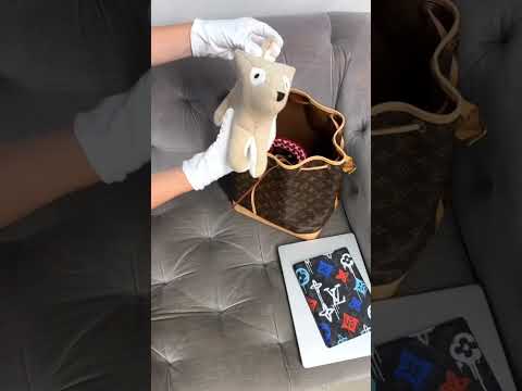 What fits inside the Louis Vuitton Noe?