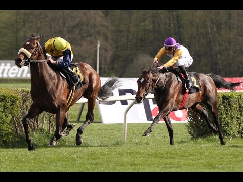 Berlin-Hoppegarten: Preis von Dahlwitz (Listenrennen) - Sieger: Articus