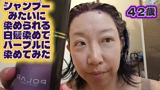 【白髪染め】polar hair care でパープルに染めてみた
