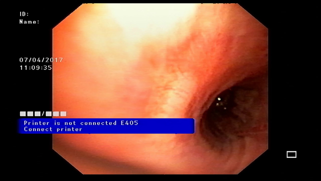 Fermín Alejandro Rojas Cisneros-5