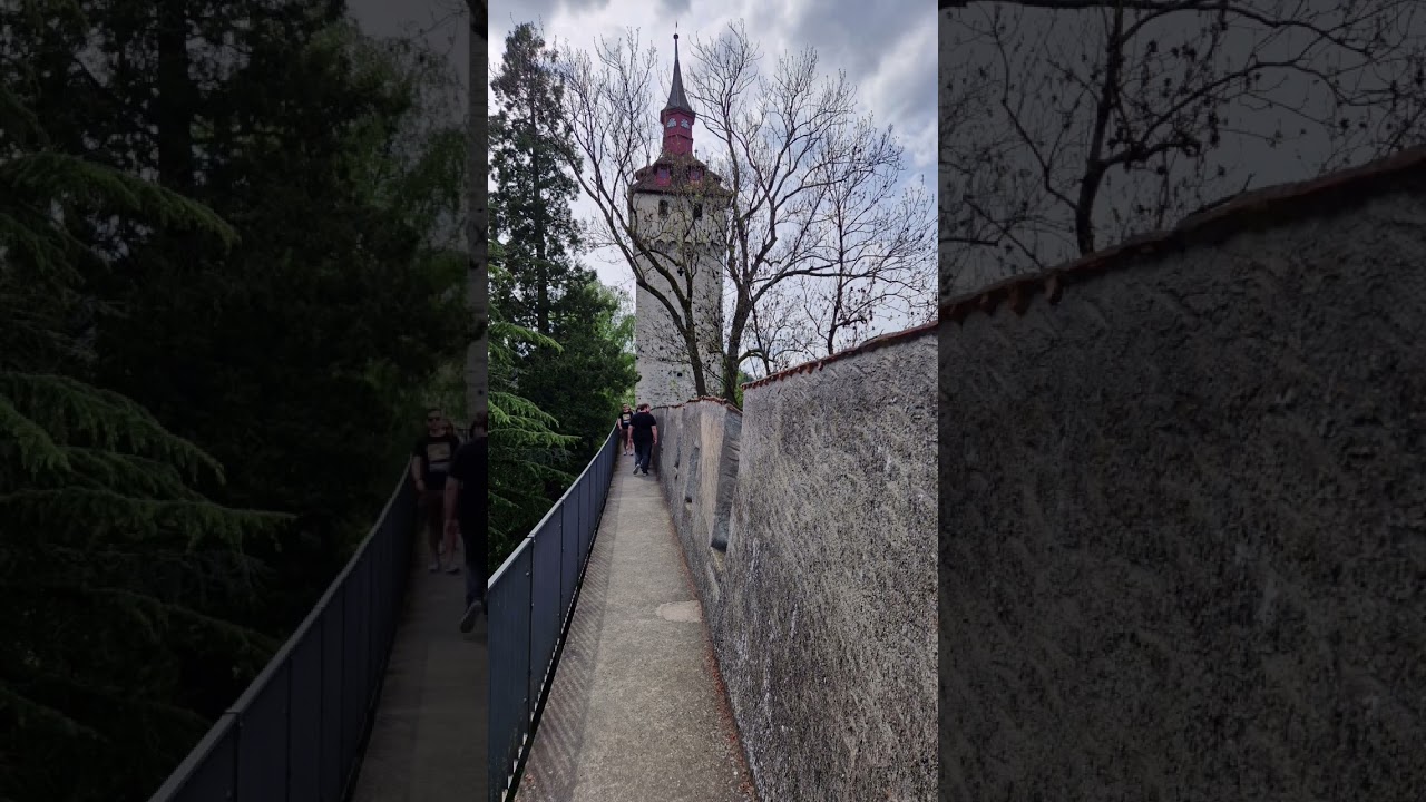 YouTube Short thumbnail