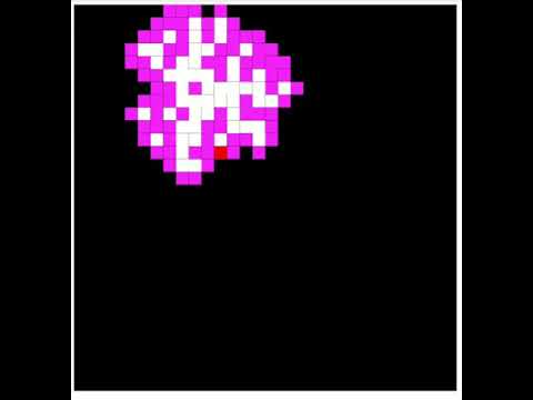 Maze Generator Random Prims Algorithm