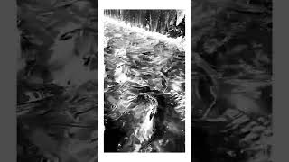 My Birthday, The Moon Festival (Steve Kilbey cover)