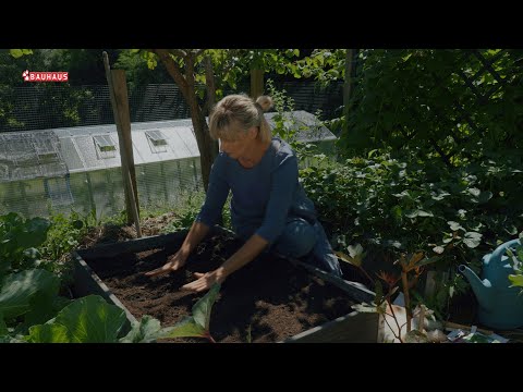 Škola vrtlarstva - što sijemo u kolovozu