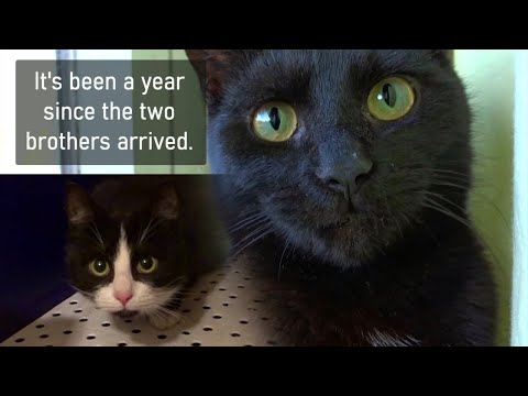 Looking back: The first year with Mads and Martin