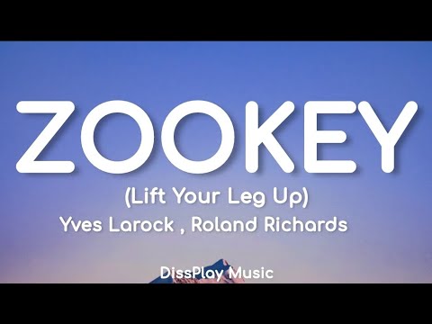 Yves Larock ft Roland Richards - Zookey (lyrics)