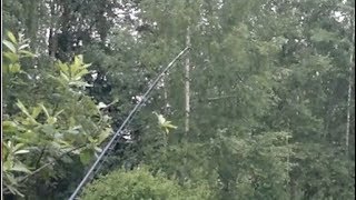 Рыбалка в октябре на карася фидером сигнализаторы поклевки