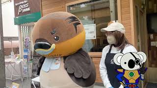 野洲のおっさん今年も歩きます！「行脚スタートイベントお知らせ編」