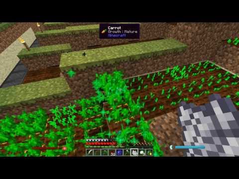 Mobius For Regent: Minecraft 1.6.4 With Mods - Farming Automation - M325